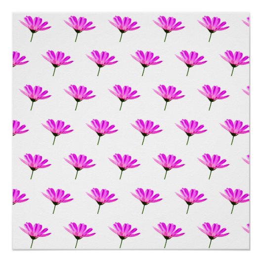 ピンクデイジー ポスター (正面)