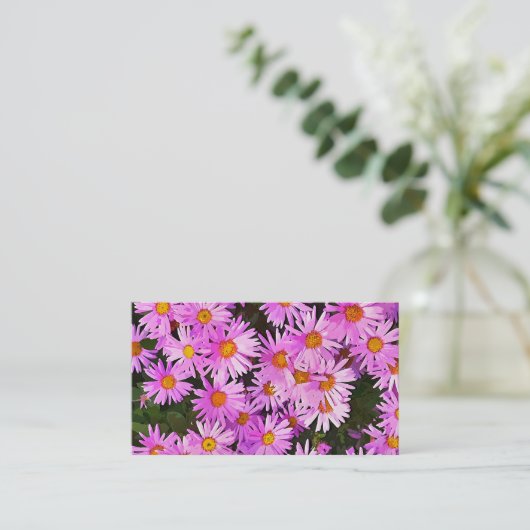 ピンクデイジー 名刺 (スタンド正面)