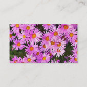 ピンクデイジー 名刺 (正面)
