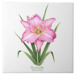 ピンクデイリーボタニカルアートスタイル タイル