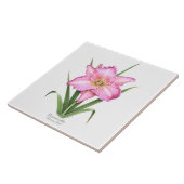 ピンクデイリーボタニカルアートスタイル タイル (側面)