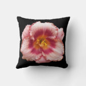 ピンクデイリー開花オンブラックフローラ アウトドアクッション (裏面)