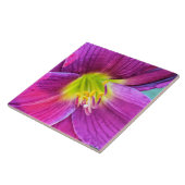 ピンクデイリー開花フローラ タイル (側面)