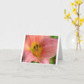 ピンクデイリー カード (黄色い花)