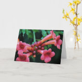 ピンクトランペットハニーサックル植物芸術 カード (黄色い花)