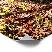 ピンクドゥーChevaux、ヴィンテージフランスのカー。 ポスター (角)