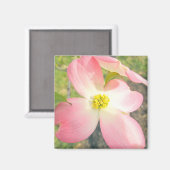 ピンクドッグウッド マグネット (正面/裏面)