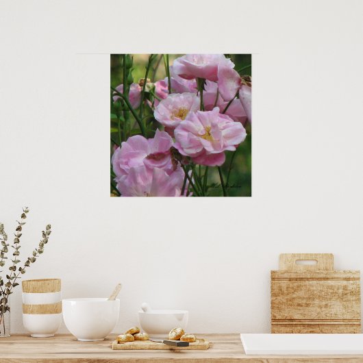 ピンクノイズバラ ポスター (キッチン)