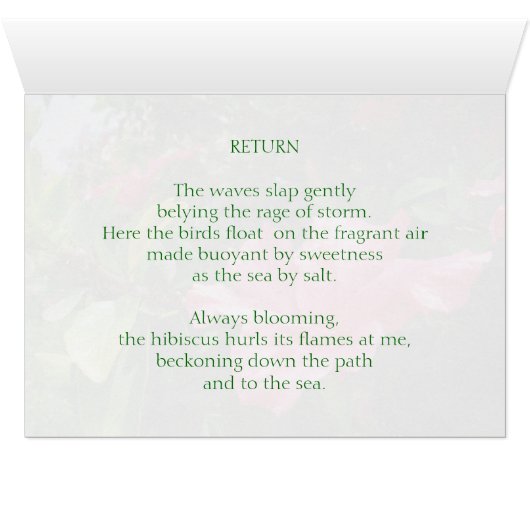 ピンクハイビスカスクイーン (内部横(下))