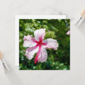 ピンクハイビスカストロピカルフラワー誕生日グリーティング カード (正面/裏面インサイチュ)