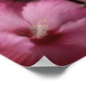 ピンクハイビスカスパーシャルカラー抽象芸術ヴィンテージ ポスター (角)
