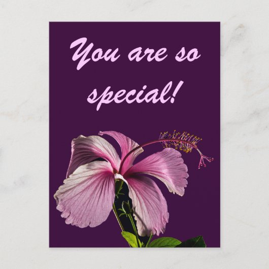 ピンクハイビスカスフラワーサイドビュー ポストカード (正面)