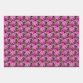 ピンクハイビスカスフラワー自然 ラッピングペーパーシート (正面2)