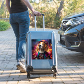 ピンクハットにビーグル シール (スーツケースインサイチュ)