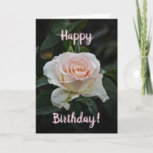 ピンクハッピーバースデーバラ誕生日カード カード