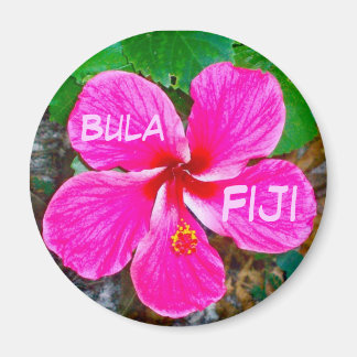 ピンクハビスカス磁石 マグネット