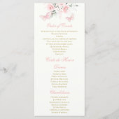 ピンクバタフライキンセアニラ プログラム (正面)