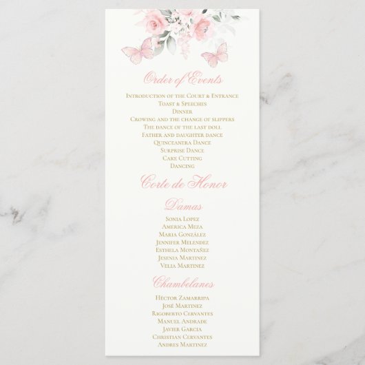 ピンクバタフライキンセアニラ プログラム (正面)