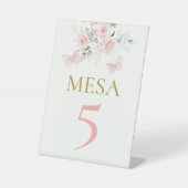 ピンクバタフライキンセアニラ 台座サイン (正面)