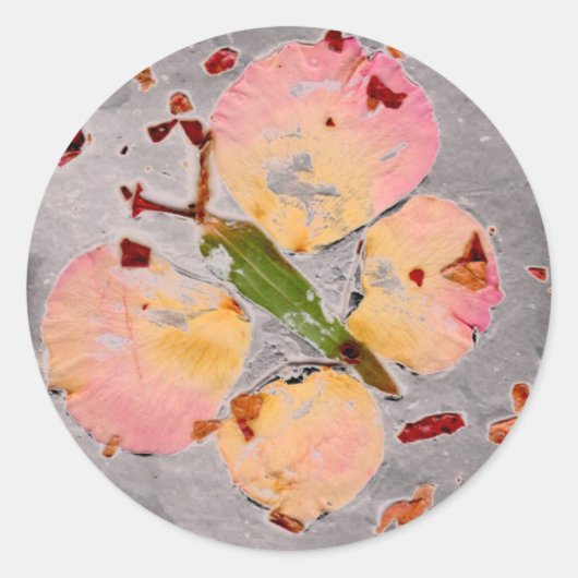 ピンクバタフライグレー丸シール、エンベロープシーラー ラウンドシール (正面)