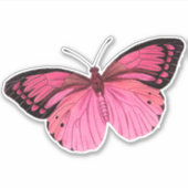 ピンクバタフライステッカー シール (正面)