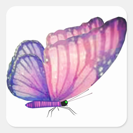 ピンクバタフライ封筒用シール スクエアシール (正面)
