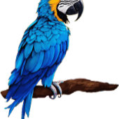 ピンクバブルガムサンタ