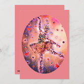 ピンクバレリーナシュガープラムフェアリーナッツクラッカーダンサー シーズンカード (正面/裏面)