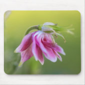 ピンクバレリーナ – オダマキ（植物）インモーションマウスパッド マウスパッド (正面)