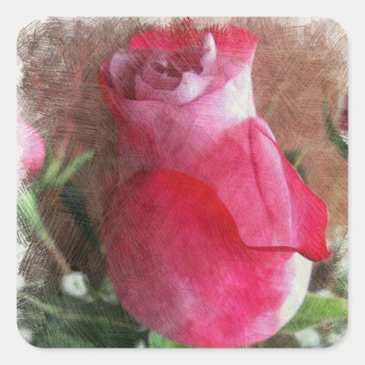 ピンクバレンタインバラ スクエアシール (正面)