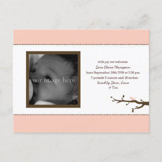 ピンクバードベビー発表 案内ポストカード