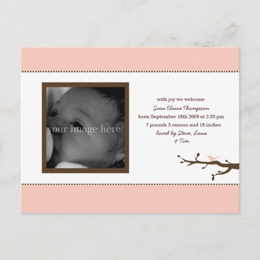 ピンクバードベビー発表 案内ポストカード (正面)