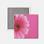 ピンクパッションマグネット マグネット (正面/裏面)