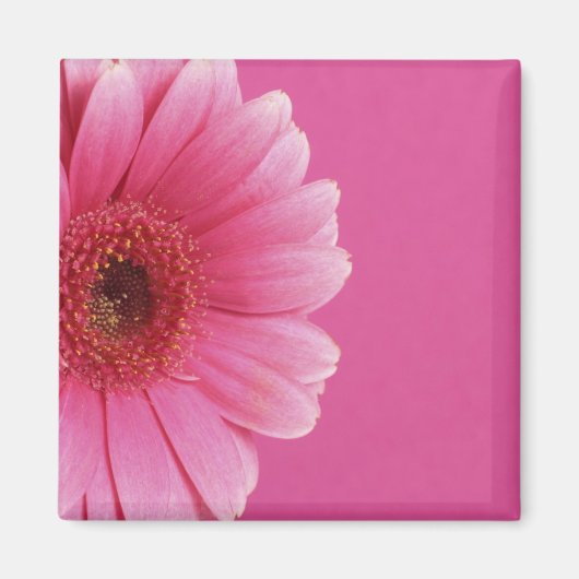 ピンクパッションマグネット マグネット (正面)