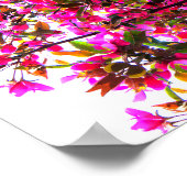 ピンクパノラマダラ ポスター (角)