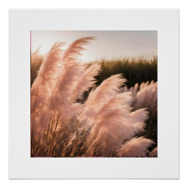 ピンクパムパス美学 ポスター