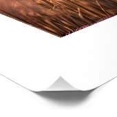 ピンクパムパス美学 ポスター (コーナー)