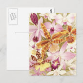 ピンクパープルオーキッドフラワー開花ヴィンテージフローラ ポストカード (正面/裏面)