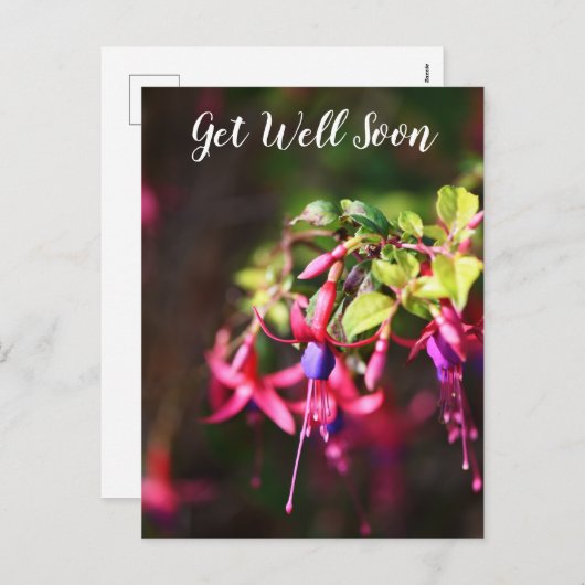 ピンクパープルカラフル明るい赤紫色の花が早く良くなる シーズンポストカード (正面/裏面)