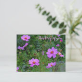 ピンクパープルコスモス考えるフラワーズオブユー ポストカード (スタンド正面)