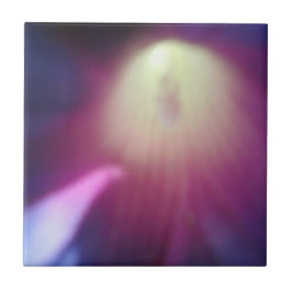 ピンクパープルフローラタイル タイル