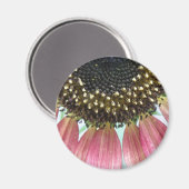 ピンクヒマワリ磁石 マグネット (正面/裏面)