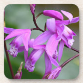 ピンクヒヤシンスフローラ コースター (正面)