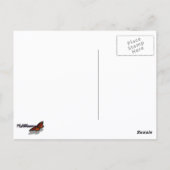 ピンクヒヤシンス春フローラ ポストカード (裏面)