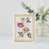 ピンクビクトリアンと黄色のバラIIポストカード ポストカード (スタンド正面)