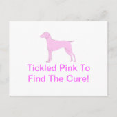 ピンクビズラ ポストカード (正面)