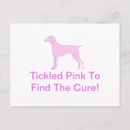 ピンクビズラ ポストカード (正面)