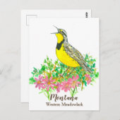 ピンクビタールートウエスタンメドワラルクモンタナ ポストカード (正面/裏面)