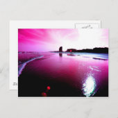 ピンクビーチ ポストカード (正面/裏面)