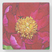 ピンクビーピーニーストーンコースター ストーンコースター (正面)